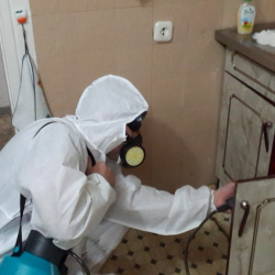 Дезинфекция от муравьев в квартире в Южно-Сухокумске